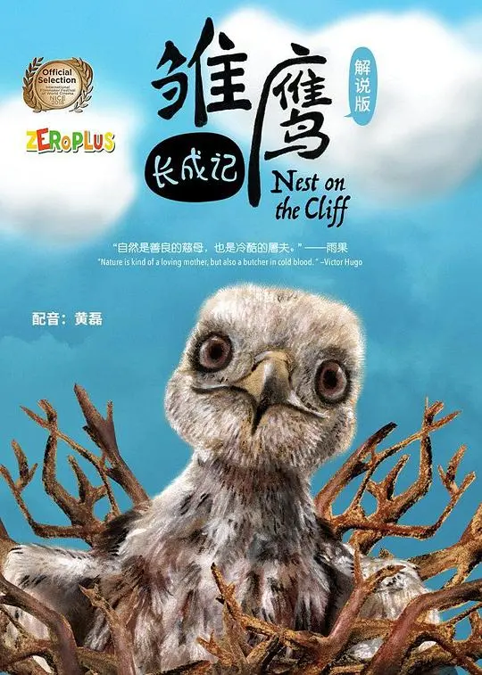《雏鹰长成记》:梦想起飞,见证小鹰的成长蜕变之旅
